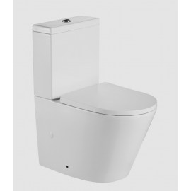 BELLEVUE Wall Faced Toilet